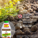 Удобрение Українські гумати FARMER органическое для корнеплодов и картофеля в легкодоступной форме, концентрат 1 кг (4820219190073) - изображение 3