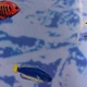 Самоклейка декоративная GEKKOFIХ море с рыбами полуглянец 0,67 х 15м (10973) - изображение 1