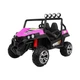 Електроавтомобіль Ramiz Buggy 4x4 LIFT 2х12 рожевий 3+ PA.S2588-LIFT.ROZ - зображення 1