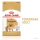 Сухой корм для собак породы померанский шпиц Royal Canin Pomeranian Adult , 500 г - изображение 1