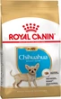Сухой корм для щенков чихуахуа Royal Canin Chihuahua Puppy 500 г 24380051 - изображение 2