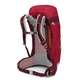 Туристический рюкзак Osprey Stratos 44 Poinsettia Red (009.2835) - изображение 2