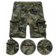 Шорты BRANDIT bushcraft Brandit Urban Legend Vintage Flecktarn, 6XL (60) (11711012) - изображение 1