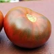 Семена Томат Тасманский шоколад, 10 шт (Солнечный март) - изображение 3