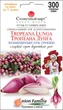 Семена Лук репчатый Тропеана Лунга, 300 шт (Солнечный март) - изображение 1