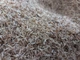 Измельченный (крошка) новозеландский мох сфагнум (spagmoss) - для земляных смесей и мульчирования поверх грунта 6 г (100 мл) на 1 литр смеси - изображение 6