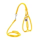 Кругла шкіряна шлея WAUDOG Glamour N1 з повідцем для котів і дрібних собак 105 см 6 мм Жовта (34018) - зображення 1