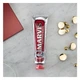 Зубная паста Marvis Cinnamon Mint 25 мл - изображение 3