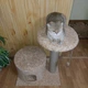 Круглый домик с когтеточкой и лежанка для котика кошки дряпка 60х40х55см бежевый - изображение 4