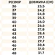 Устілка ортопедична каркасна Pedag Viva Sport 181 43 - зображення 4