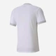 T-shirt chłopięcy sportowy Puma teamGOAL 23 70416004 110-116 cm Biały (4062451203993) - obraz 2