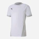 T-shirt chłopięcy sportowy Puma teamGOAL 23 70416004 110-116 cm Biały (4062451203993) - obraz 1
