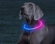 LED нашийник для собак з підсвіткою двокольоровий універсальний Рожево - синій - зображення 2