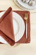 Сервировочный коврик (ланчмат) из льняной ткани TouchableLinen 1 шт 30x40 см Терракотовый Подставка под тарелки - изображение 2