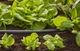 Шланг магистральный Gardena Micro-Drip-System 13 мм, 50 м (01347-20) - изображение 2