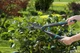 Ножницы для живой изгороди механические Gardena EasyCut (12301-20) - изображение 3
