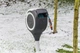 Катушка со шлангом Gardena RollUp S Automatic наземная 15 м (18606-20) - изображение 9