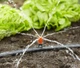 Микродождеватель Gardena Micro-Drip-System для малых площадей, 10 шт (08320-29) - изображение 2