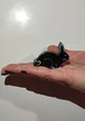 Игрушка Магнит Новогодний Сувенир Зайчик HEGA 2023 - изображение 1