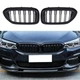Решетка радиатора BMW (БМВ) 5 series G30 G31 G38 (2016 - 2020) Черный Глянец 2 ребра CountryMan - изображение 1