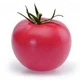 Семена Томат Розовый Рафаєлло, 0,15 г (GL Seeds) - изображение 2