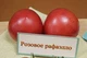 Семена Томат Розовый Рафаєлло, 0,15 г (GL Seeds) - изображение 4