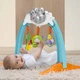 Игровой центр Hyppo Gym Chicco (05195.00) - изображение 3