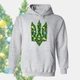 Худи GBI "Новогодний герб" прямая классика, серый, M, XС-0046 - изображение 1