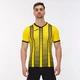 Футболка Joma TIGER II желто-черная L 101464.901 - изображение 2