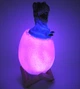 3D нічник світильник динозавр в яйці Dinosaur Lamp різнокольоровий з пультом д/к з підзарядкою від USB - зображення 6