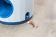 Игрушка для собак Trixie Dog Activity "Ball & Treat" d=17х18 см (4011905320090) - изображение 4