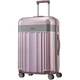 Чемодан Titan 45х67х27 см SPOTLIGHT FLASH/Wild Rose M Ti831405-12 - изображение 1