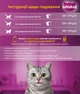 Упаковка влажного корма для котов Whiskas с курицей в соусе 12 шт х 400 г (5900951306020) - изображение 4