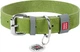 Нашийник для собак шкіряний WAUDOG Classic XXS Ш 12 мм Дл 19-25 см Салатовий (02015Collar) - зображення 1