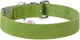 Нашийник для собак шкіряний WAUDOG Classic XXS Ш 12 мм Дл 19-25 см Салатовий (02015Collar) - зображення 2