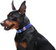 Нашийник для собак шкіряний Collar WAUDOG Classic, XS, Ш 12 мм, Дов 21-29 см (02029) - зображення 6