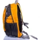 Рюкзак 20 л OnePolar W1391 Жовтий - зображення 3
