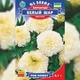 Чорнобривці Білий куля Білий, бежевий, кремовий Насіння Florium (726647) - зображення 2