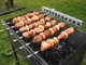 Обертач шампурів Eco Grill Стаціонарна шашличниця ПП-1 - зображення 1