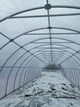 Теплица "Западная-5х20" 5х20х3м с пленкой 150 мкм + зигзаг профиль - изображение 2