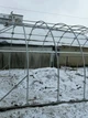 Каркас теплиці "Західна-5х10" 5х10х2,8м, труба 30х30х1,5мм - зображення 8