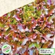 Семена Салат Американ Браун Желтый Florium (718009) - изображение 2