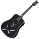 Акустическая гитара SCHECTER RS-1000 BUSKER ACOUSTIC - изображение 1