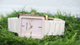 Женские классические часы Anne KLEIN AK/2952LPRG Розовое золото\Персик - изображение 3