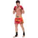Шорты для тайского бокса и кикбоксинга TKTBS-049 Top King Boxing XXL Красный (37551086) - изображение 7