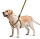 Шлея для собак WAUDOG Nylon з QR-паспортом M малюнок "Мілітарі" (331-4026Collar) - зображення 2