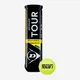 Тенісні м'ячі Dunlop Tour Brilliance 4ball - зображення 1