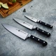 Набір кухонних ножів Zwilling Professional S із 3 предметів лезо FRIODUR 35645-002-0 - зображення 6