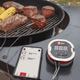 Термометр Weber iGrill 2 для барбекю гриля стейка (7221) - изображение 7