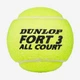 Теннисные мячи Dunlop Fort All Court TS 3ball - изображение 3
